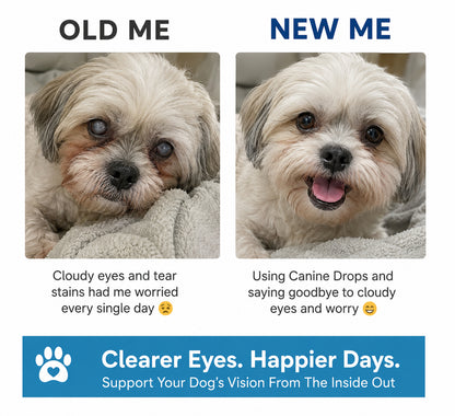 ClearVision Canine Drops