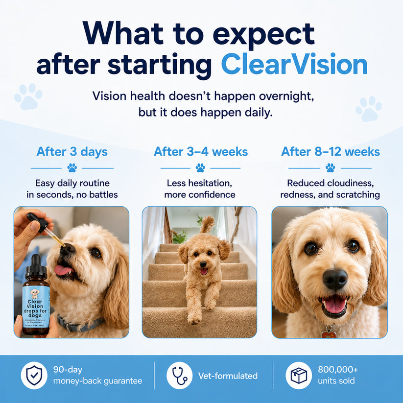 ClearVision Canine Drops