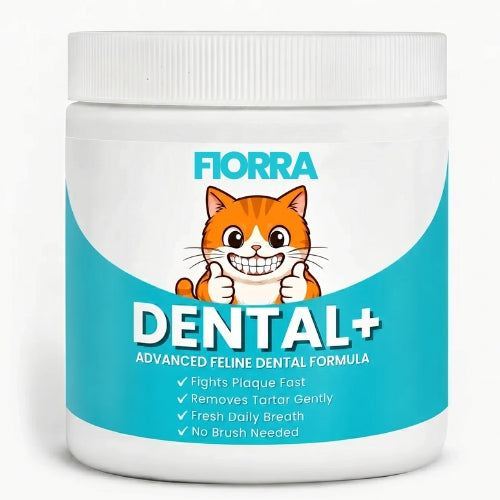 Fiorra™ Dental+ Powder