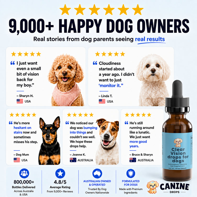 ClearVision Canine Drops