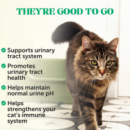 Cat Urinary Health Support