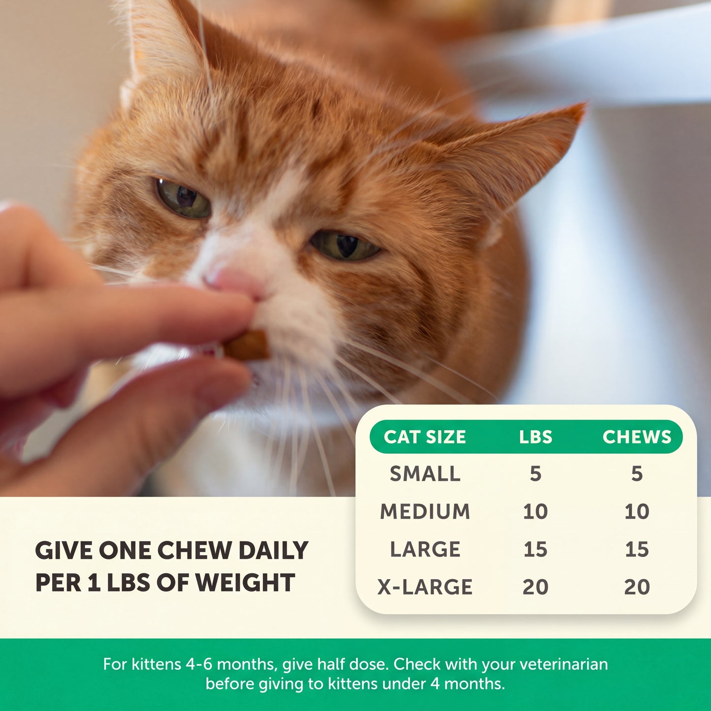 Cat Urinary Health Support
