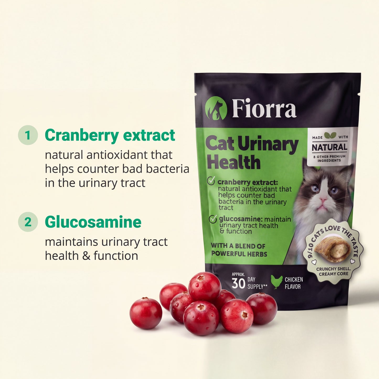 Cat Urinary Health Support