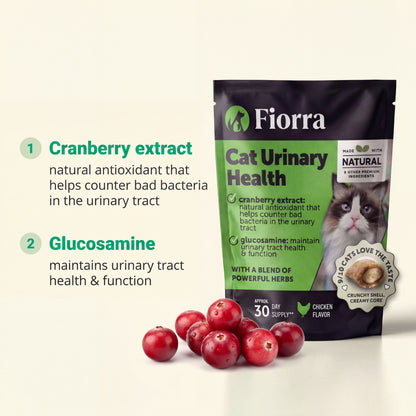 Cat Urinary Health Support